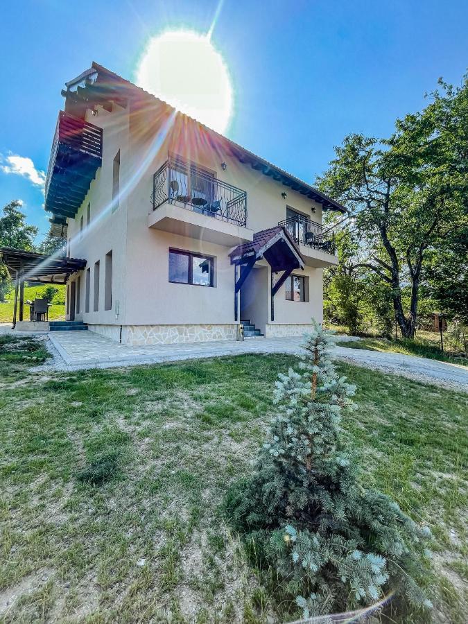 Transylvania Mountain View Cdi Bran  Exterior photo